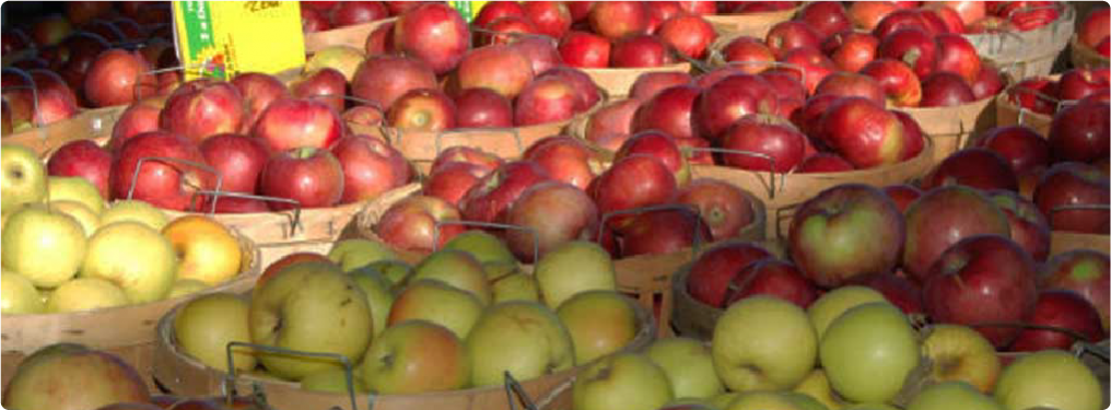 apples