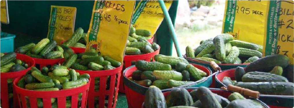cucumbers