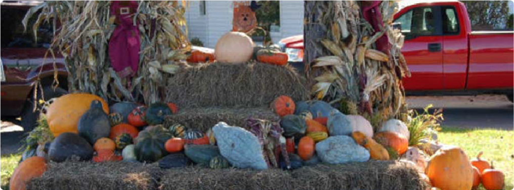 fall-display