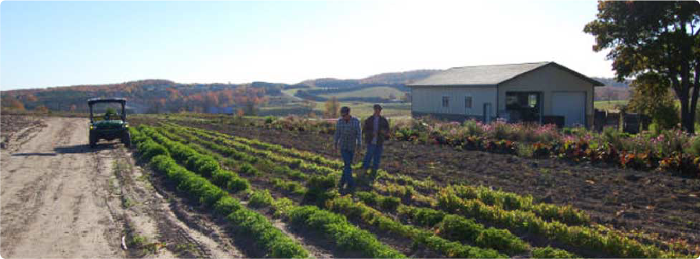 field