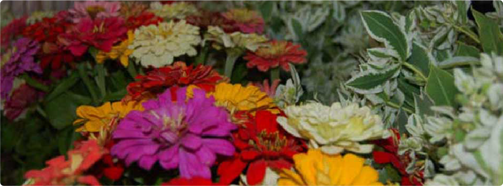 flowers10