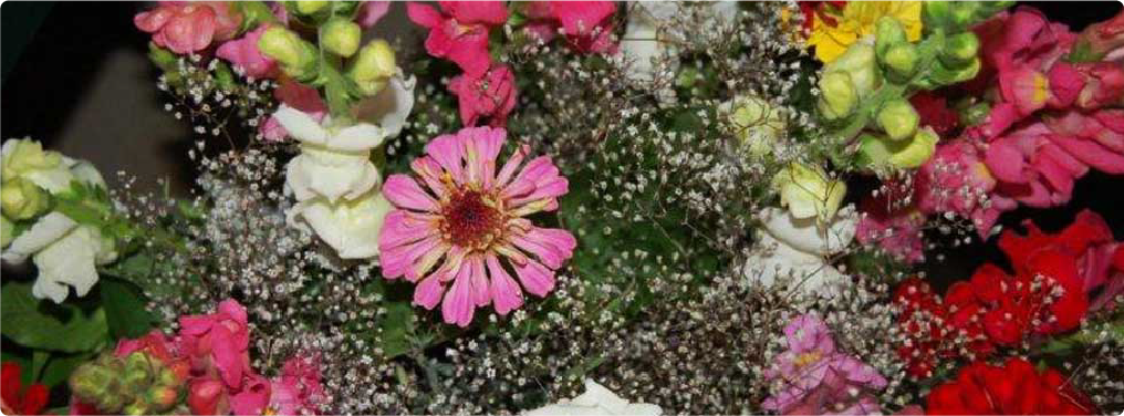 flowers7