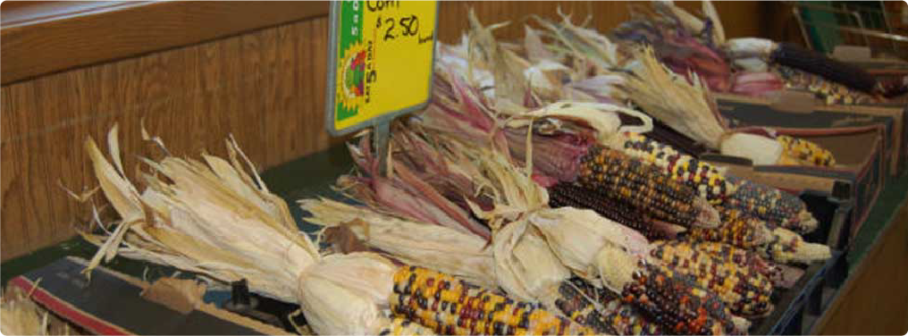 indian-corn