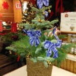 blue-centerpiece