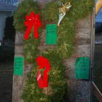 candycane2w13