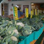 cauliflowerweb2