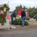 cutting-cust-tree