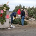 cutting-cust-tree