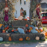 fall-gourds-displayweb2