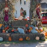 fall-gourds-displayweb2