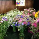 flowers2