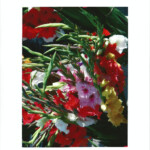 glads