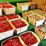 gooseberries