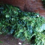 greens-on-ground