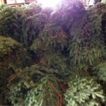 greens-to-use