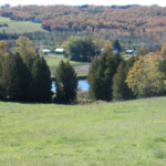 hillside