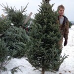 hunter-wtree