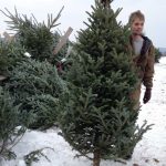 hunter-wtree