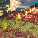 lots-more-apples