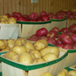 potatoesweb2