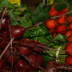 radishesweb2