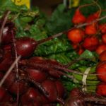 radishesweb2