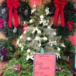 tree-by-garage