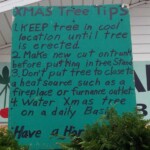 tree-directions